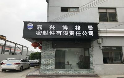Chine Jiaxing Burgmann Mechanical Seal Co., Ltd. Jiashan King Kong Branch Profil de la société
