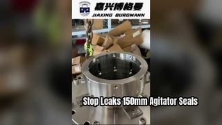 Solution de haute performance de joint mécanique d'agitateur de 150 mm